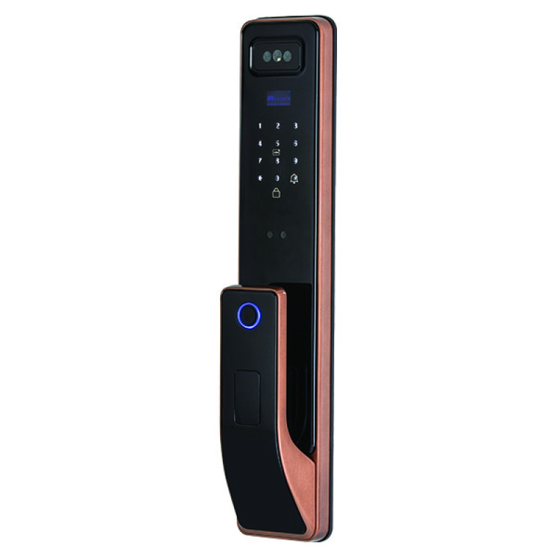 دستگیره هوشمند مدل DGL911