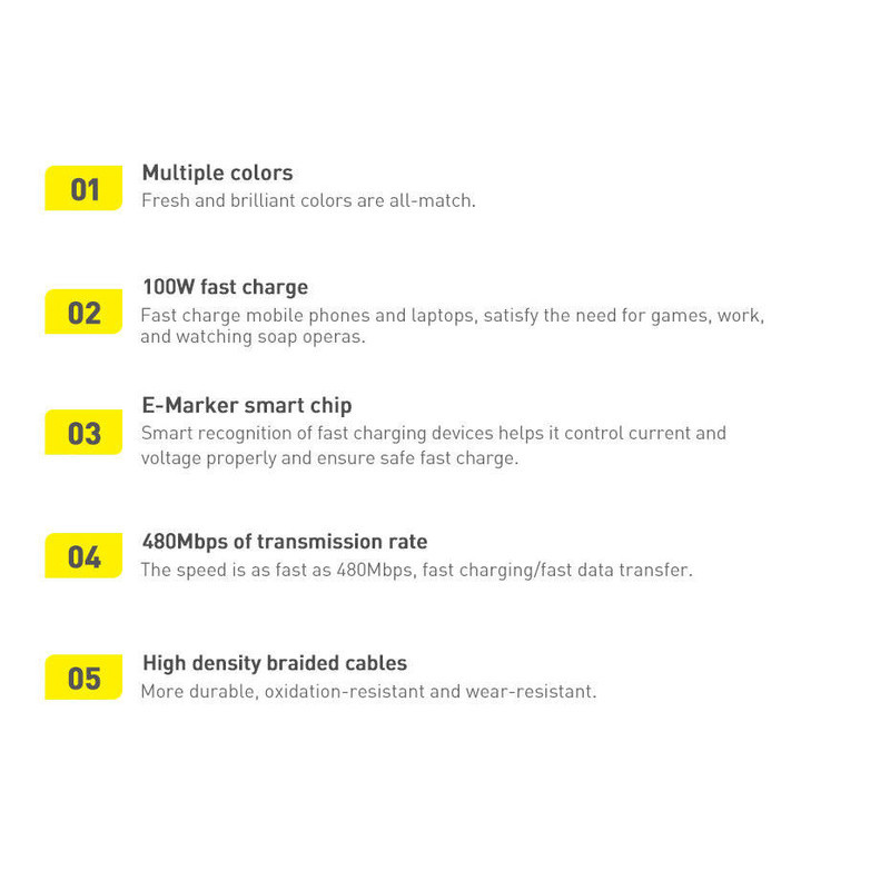 کابل USB-C باسئوس مدل Dynamic Series-100W طول 1 متر
