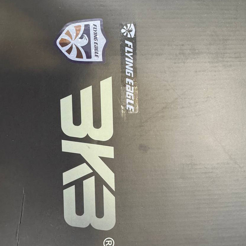 اسکیت کفشی فلاینگ ایکل مدل bkb b6 hero سایز 39-40