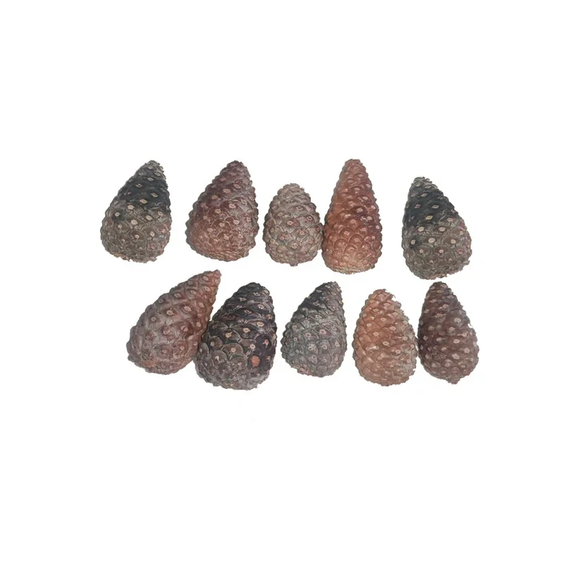 میوه تزیینی مدل کاج 002