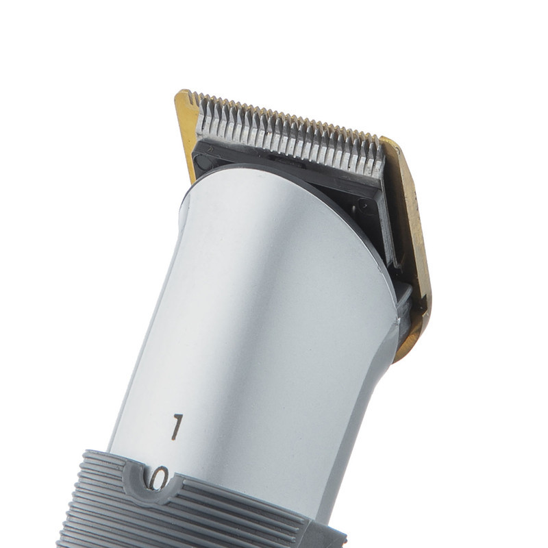 ماشین اصلاح موی سر و صورت دینگ لینگ مدل RF-608B