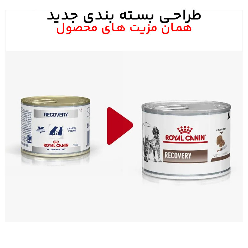 پوچ گربه و سگ رویال کنین مدل recovery طعم گوشت - 195 گرم