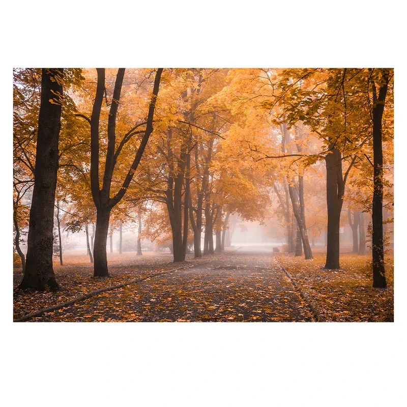فرش پارچه‌ای مدل فرشینه طرح جاده پاییزی و مه کد AR3060286