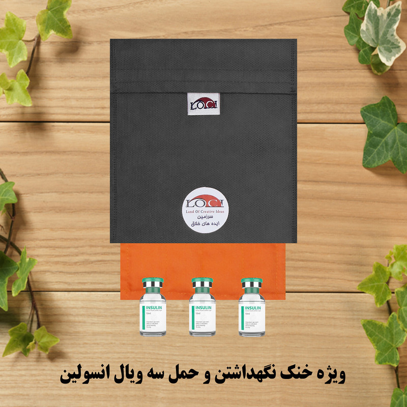 کیف خنک نگهدارنده انسولین لوک آی مدل 3 ویال کد 01 مجموعه 2 عددی