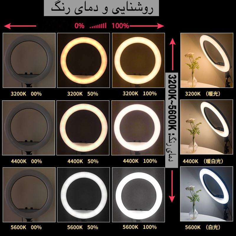رینگ لایت مدل RL-21 به همراه پایه