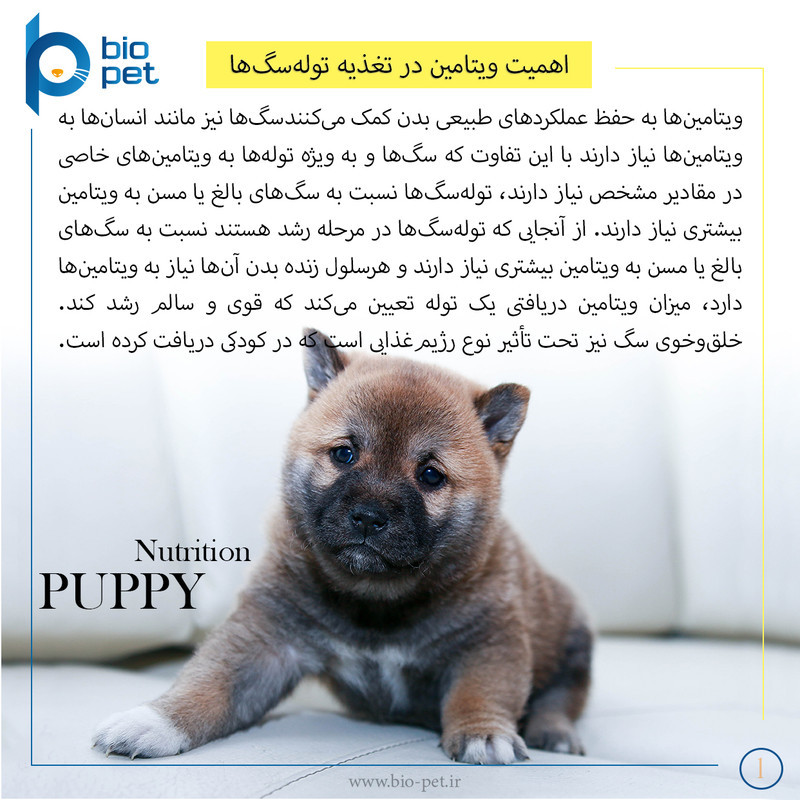 پودر مکمل توله سگ بایو پت مدل Puppy وزن 400 گرم
