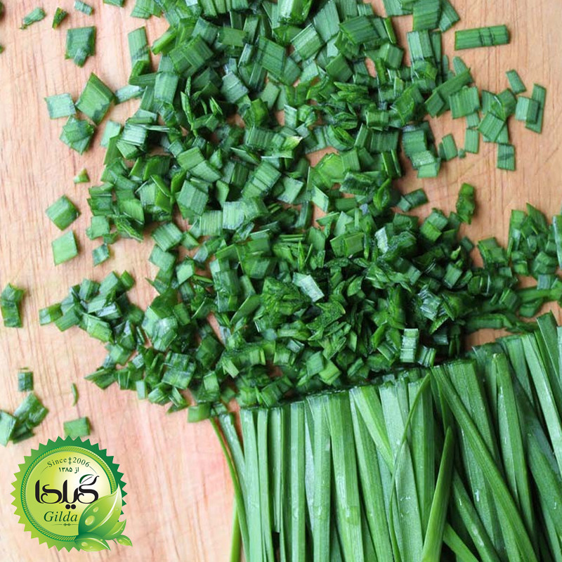 بذر سبزی خوردن گیلدا کد 097 مجموعه 10 عددی