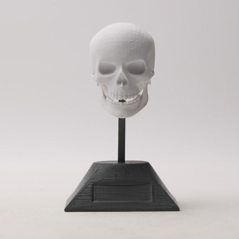 مجسمه طرح جمجمه مدل skull13s