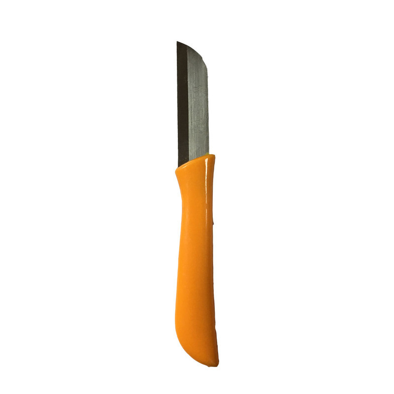 کارد میوه خوری فاردینوکس مدل HM-15