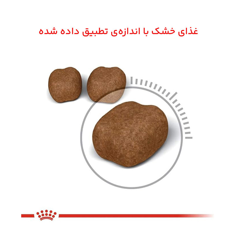 غذای خشک گربه رویال کنین مدل Dental سلامت دهان و دندان وزن 1.5 کیلوگرم