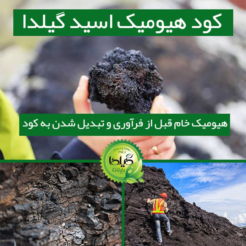 کود هیومیک اسید گیلدا مدل GHum وزن 20 گرم