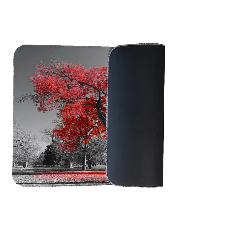 رطوبت گیر کنار سینک کد 5523