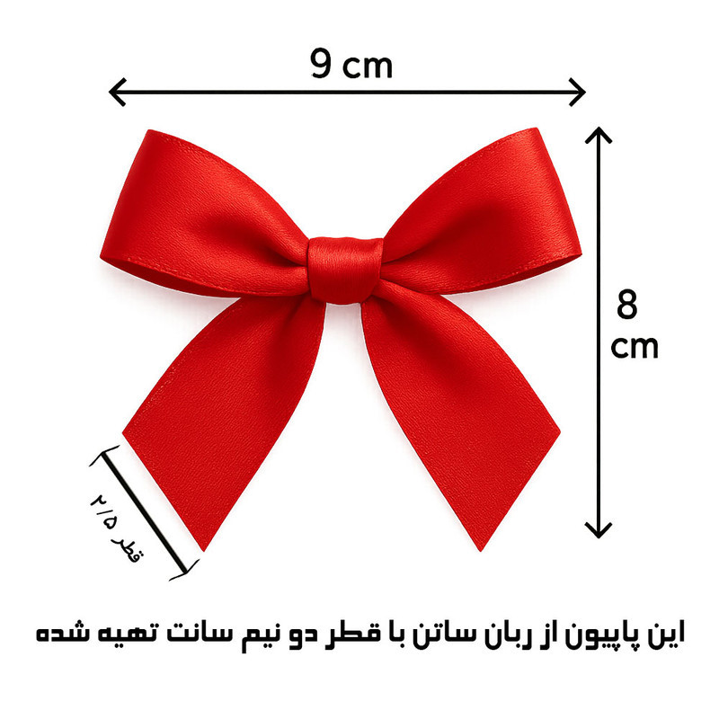 ابزار کادویی مدل پاپیون مجموعه 12 عددی