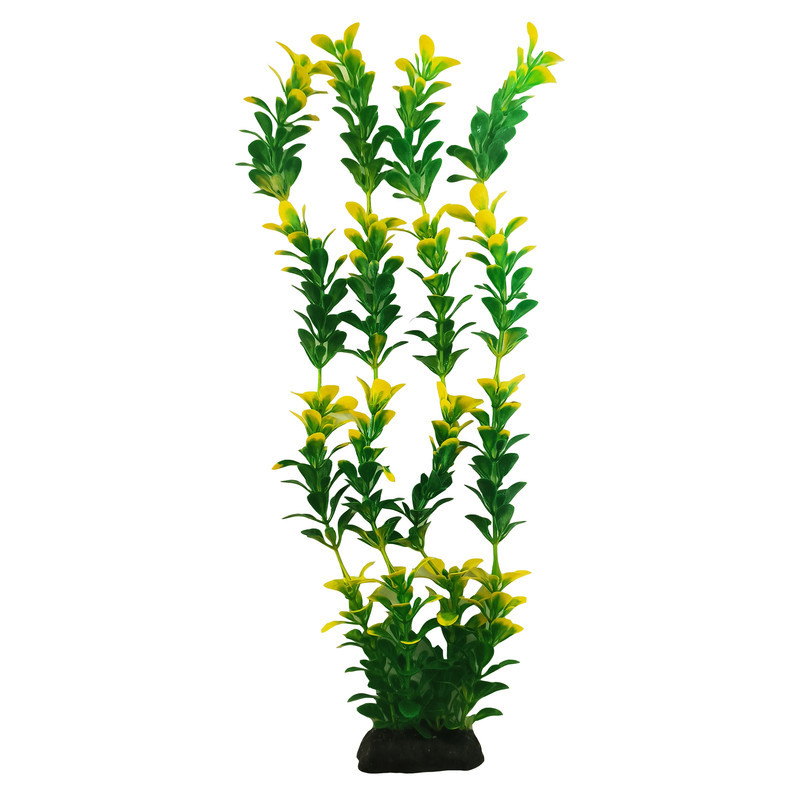 گیاه تزیینی آکواریوم کد sum10 مجموعه 10 عددی