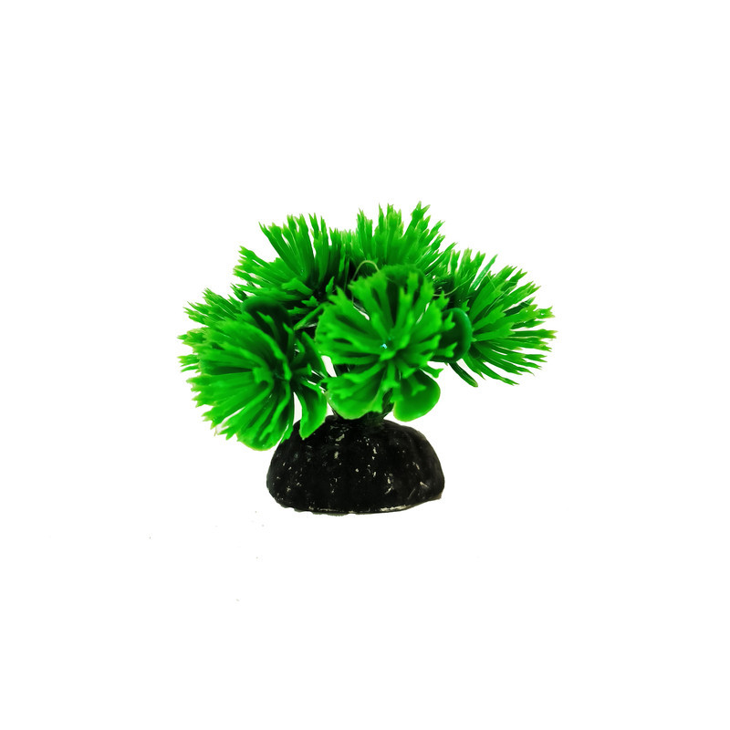 گیاه تزیینی آکواریوم کد VB09 مجموعه 10 عددی
