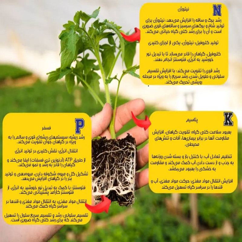 کود پودری برگدهی بهاران مدل m 20-20-20 وزن 100 گرم