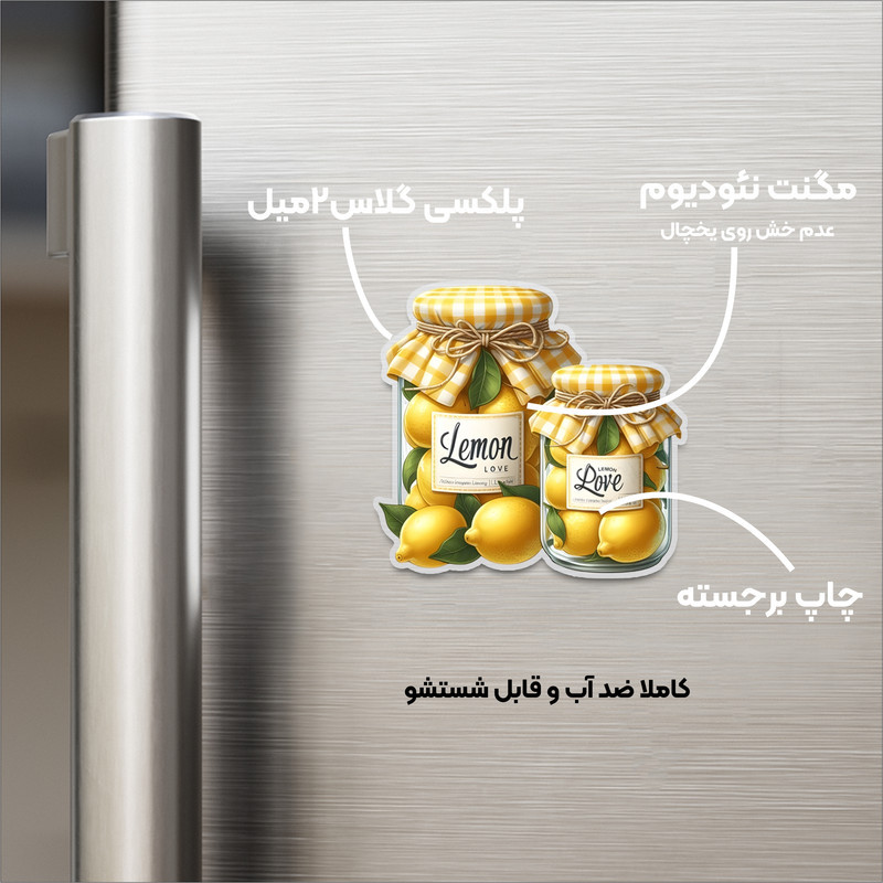 مگنت مدل یخچالی طرح شیشه لیموترش