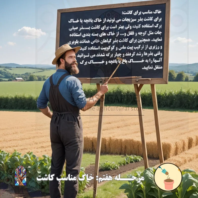بذر کدو تنبل غول پیکر گلس گاردن مدل GL02