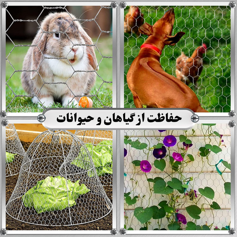 توری مدل مرغی گالوانیزه کد G18010 طول 10 متر