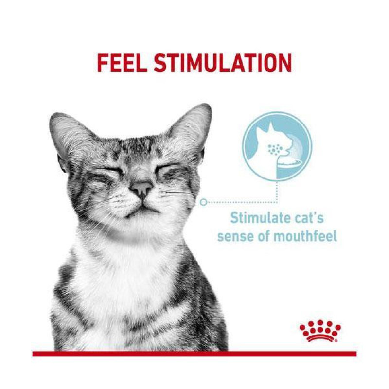 پوچ گربه رویال کنین مدل SENSORY FEEL وزن 85 گرم