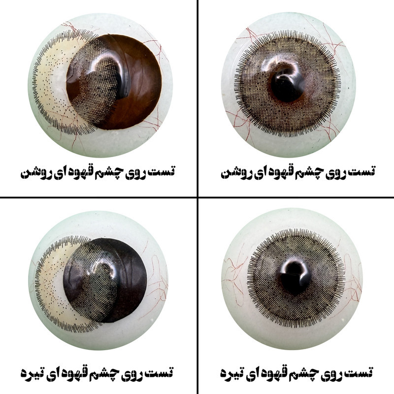لنز چشم رویال ویژن مدل LA HAZEL کد 12 رنگ سبزعسلی طبیعی دوردار