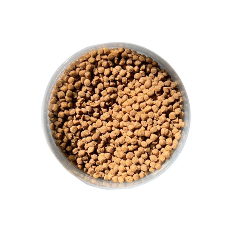 غذا ماهی جوجوبیت آلیتا مدل JUJUBIT حجم 120 میلی لیتر