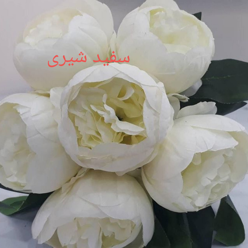 گل مصنوعی طرح پیونی کد pa0085 - دارای 6 گل قابل جدا شدن از شاخه، قابل شستشو، جنس پارچه، ابعاد 18×18×23 سانتی‌متر، وزن 300 گرم