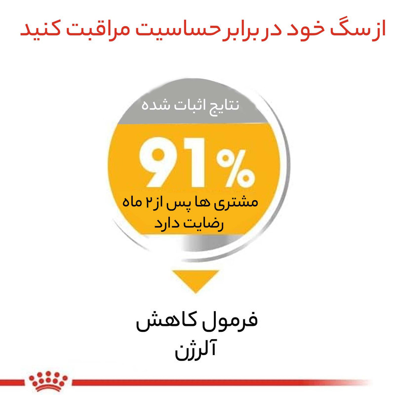 غذای خشک سگ رویال کنین مدل Mini Dermacomfort وزن 3 کیلوگرم