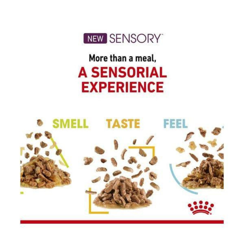 پوچ گربه رویال کنین مدل SENSORY FEEL وزن 85 گرم