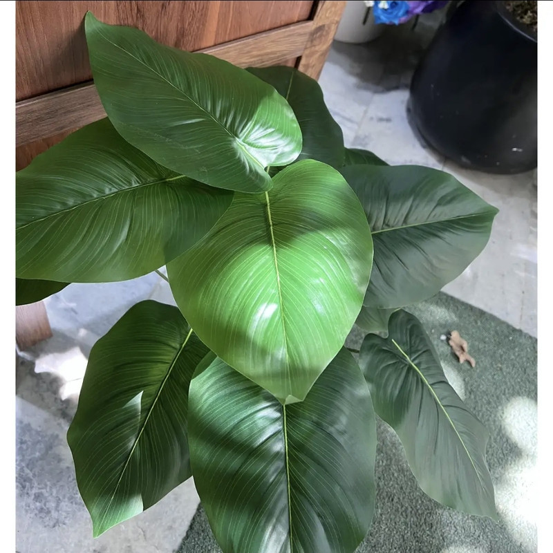 درختچه مصنوعی گیاه بابا آدم 18 برگ قابل شستشو رومیزی و ایستاده مناسب فضای باز و داخل ابعاد 30×30×70 سانتی‌متر وزن 600 گرم