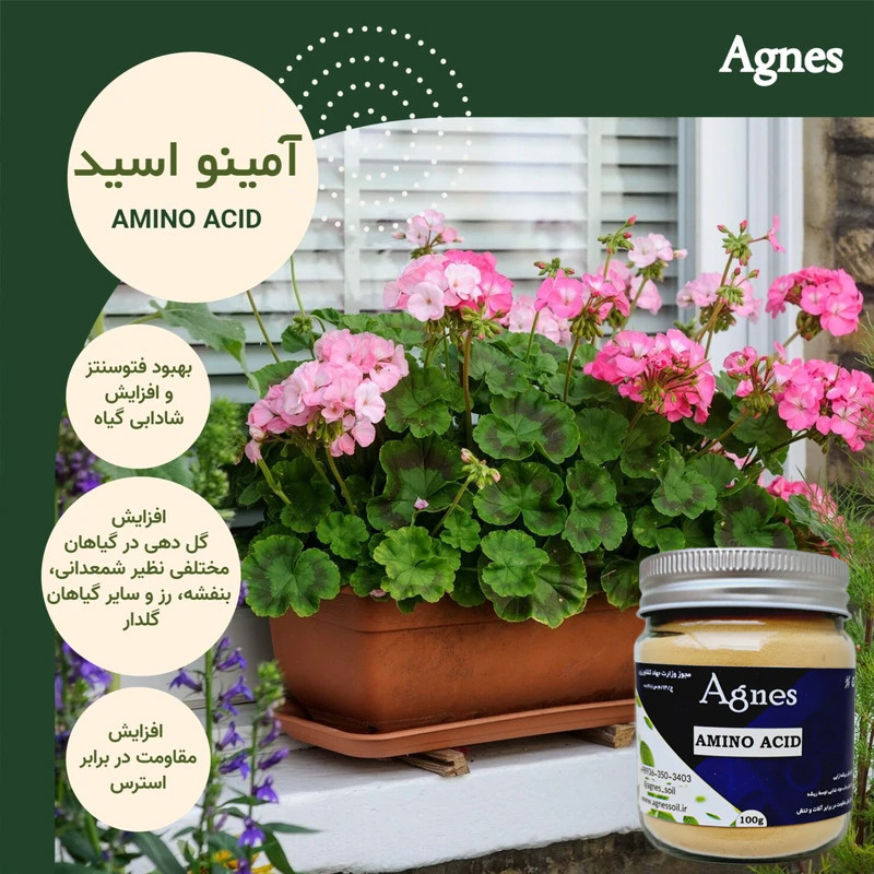 کود آمینو اسید آگنس مدل Ag-Amino-Acid100 وزن 100 گرم