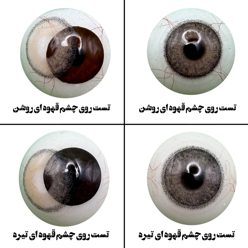 لنز چشم هرا مدل 15 فصلی کد AQYA320 رنگ عسلی طوسی دور دار