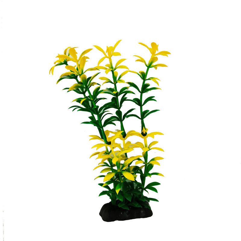 گیاه تزیینی آکواریوم کد S02 مجموعه 10 عددی