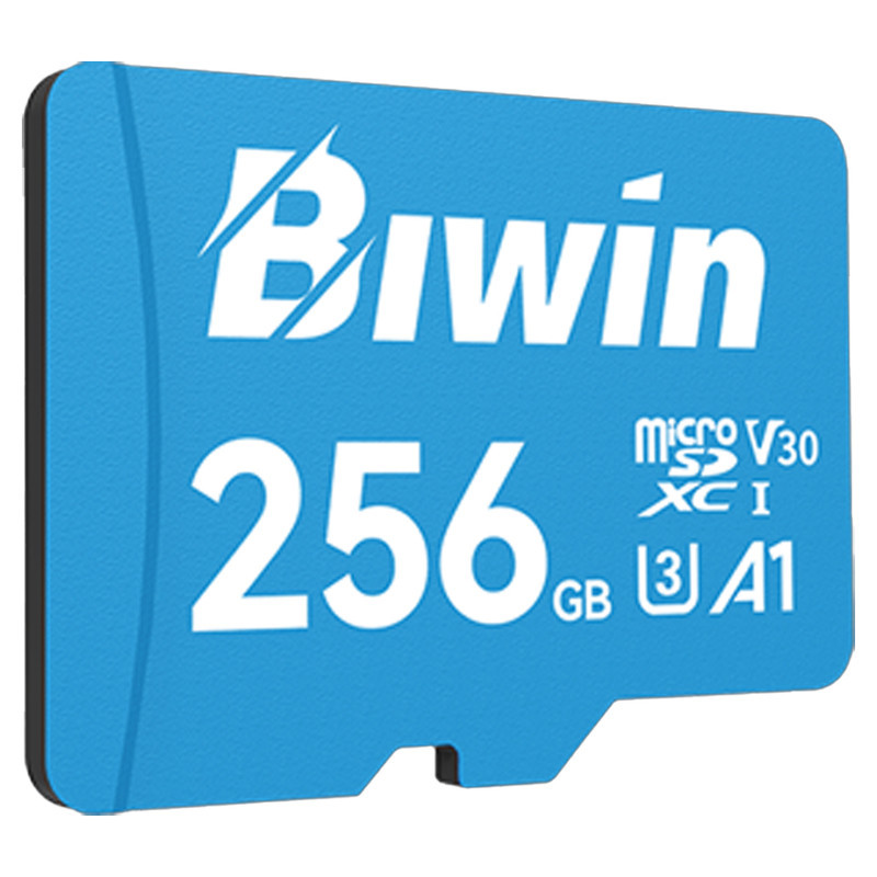 کارت حافظه microSDXC بیوین مدل MS100 کلاس 10 استاندارد UHS-I U3 V30 A1 سرعت 100MBps ظرفیت 256 گیگابایت