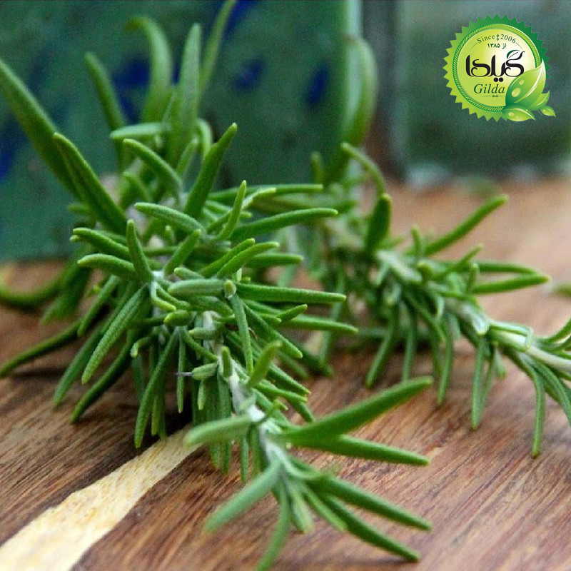 بذر سبزی خوردن گیلدا کد 097 مجموعه 10 عددی