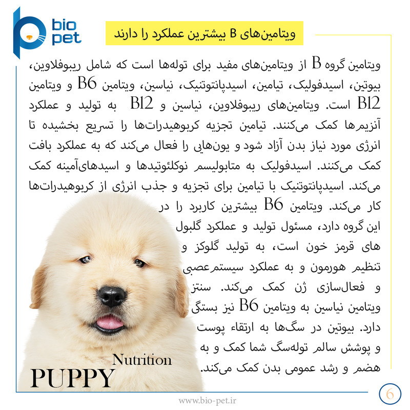 پودر مکمل توله سگ بایو پت مدل Puppy وزن 400 گرم