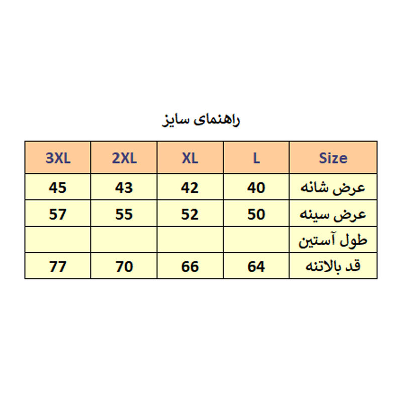 پافرمردانه مدل FR کد M2655