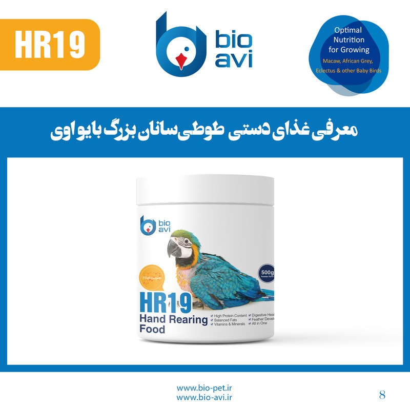 غذای کمکی طوطی سانان بایو اوی مدل HR19 وزن 500 گرم