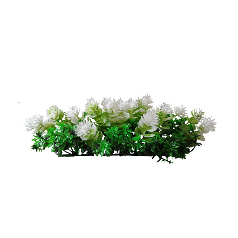 گیاه تزیینی آکواریوم طرح  بنسای مدل large
