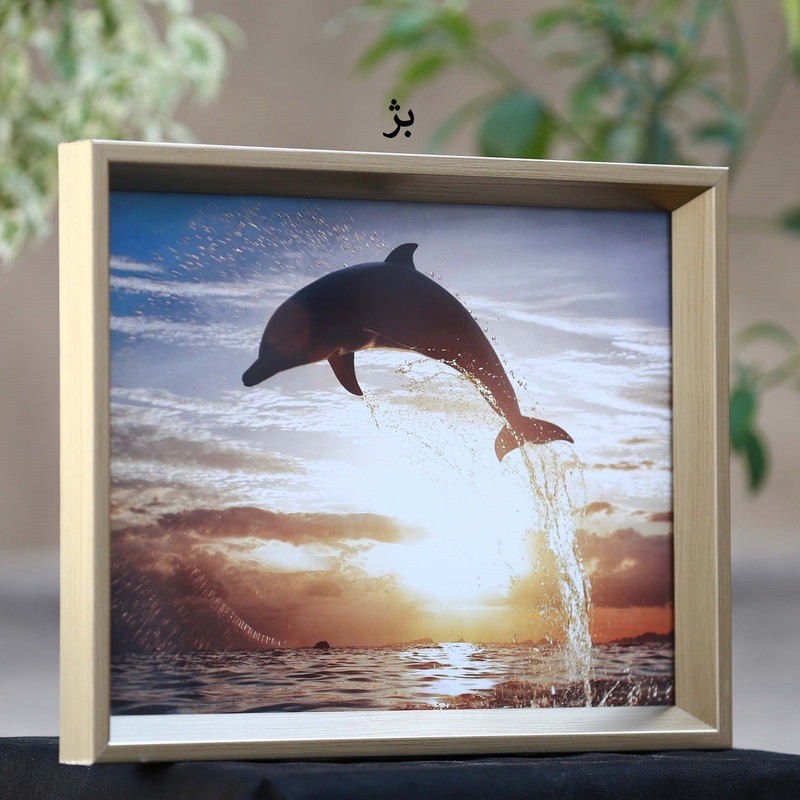 قاب عکس بکلیت مدل A2-40x60-208 مجموعه دو عددی