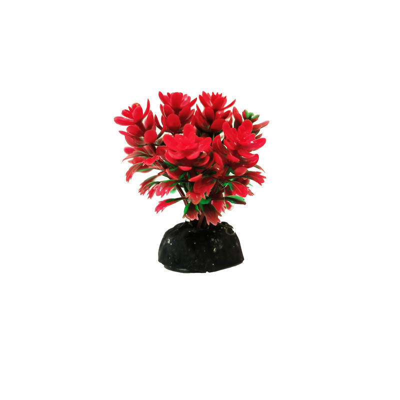 گیاه تزیینی آکواریوم کد VB09 مجموعه 10 عددی