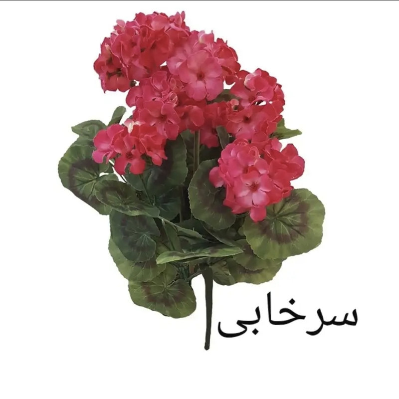 گل مصنوعی بوته شمعدانی طرح طبیعی مخملی قابل شستشو، مناسب فضای باز و داخل بالکن، نصب رومیزی، دیواری، ایستاده و آویزی، ابعاد 20×30×45 سانتی‌متر، وزن 300 گرم