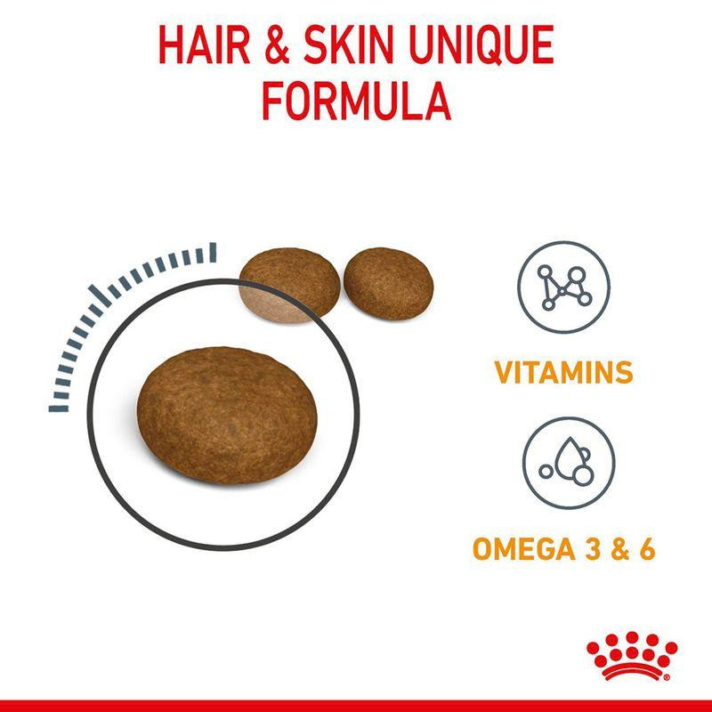 غذای خشک گربه رویال کنین مدل Hair and Skin وزن ۲ کیلوگرم به همراه بستنی گربه