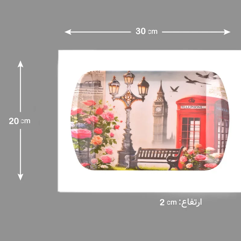 سینی دسته دار مهروز مدل A-1002 سایز 20×30 سانتی متر