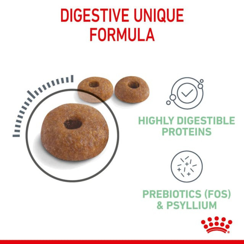 غذای خشک گربه رویال کنین مدل Digestive Care مراقبت از سیستم گوارش وزن 2 کیلوگرم