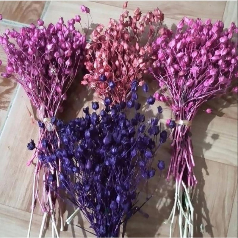 گل خشک مدل جغجغه بوته ای کد 15