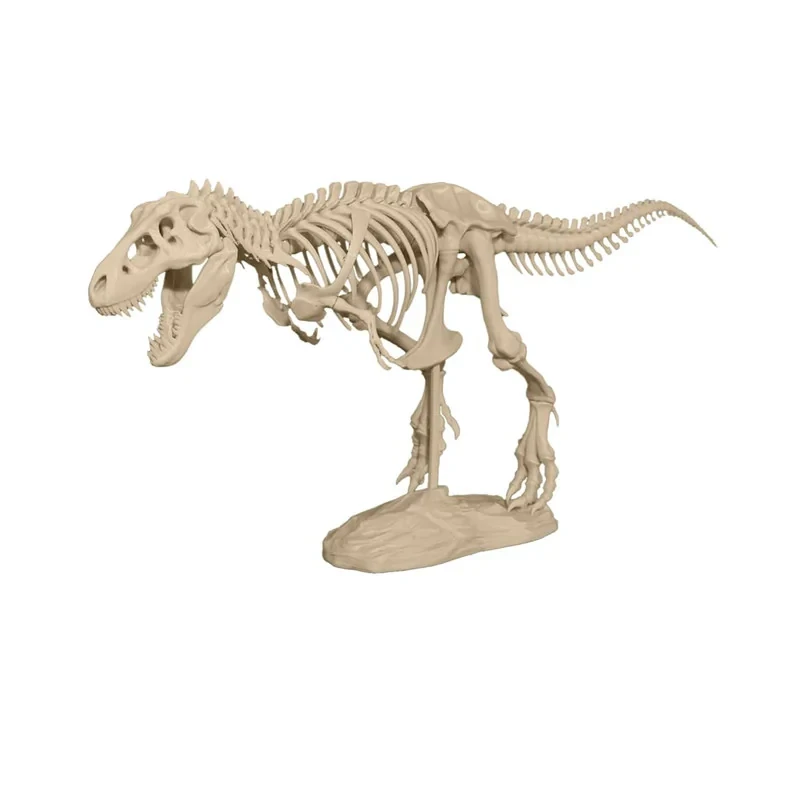 مجسمه مدل T-Rex Skeleton
