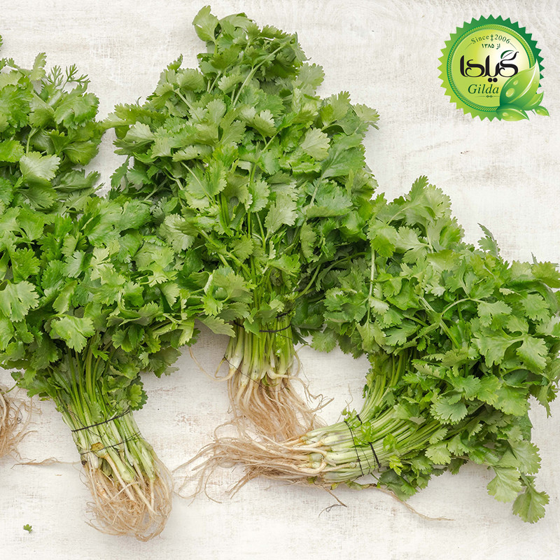بذر سبزی خوردن گیلدا کد 097 مجموعه 10 عددی