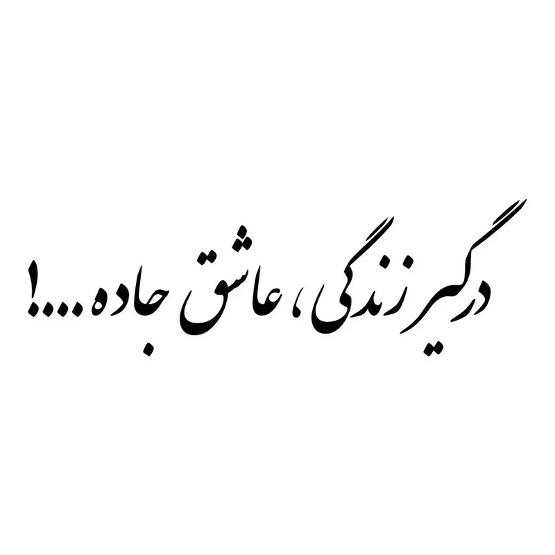 برچسب بدنه خودرو طرح درگیر زندگی ، عاشق جاده کد MT-B466