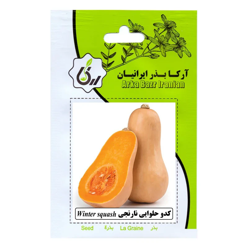 بذر کدو حلوایی نارنجی آرکا بذر ایرانیان کد ARK-135